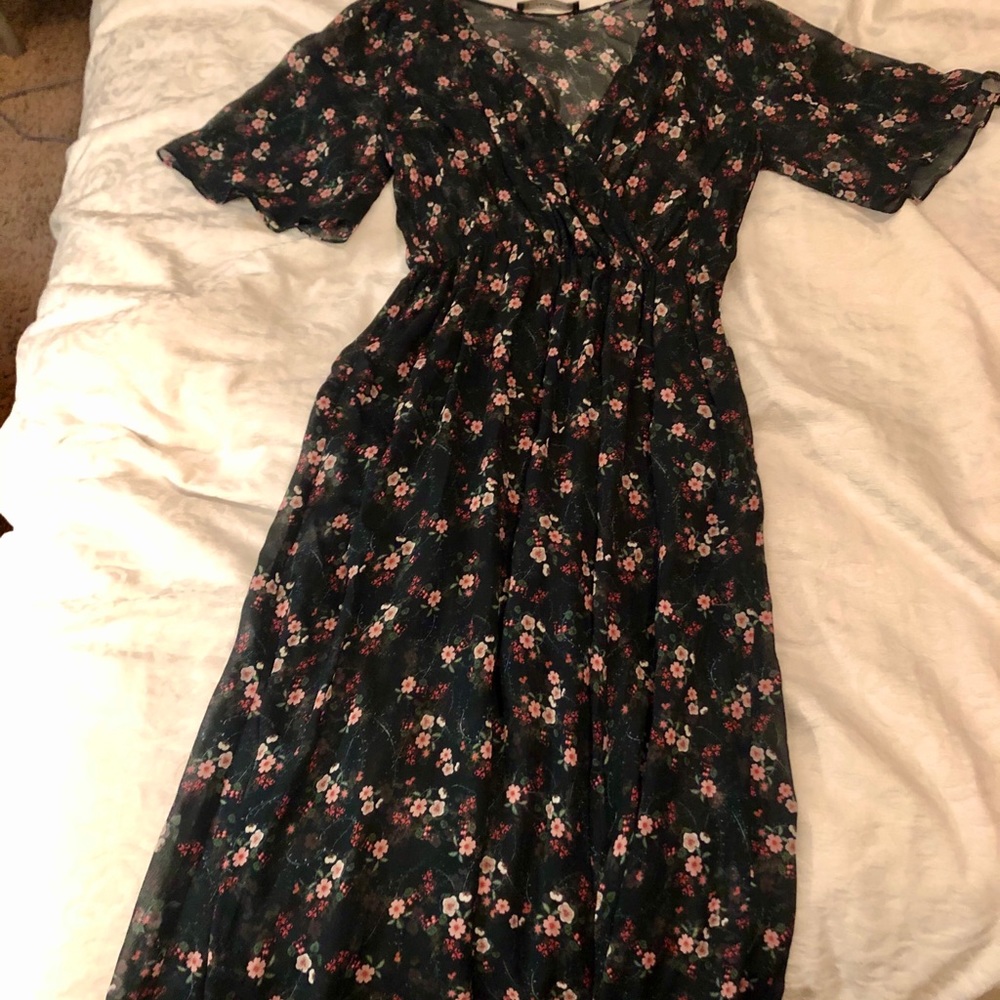 Sheer Zara Midi dress